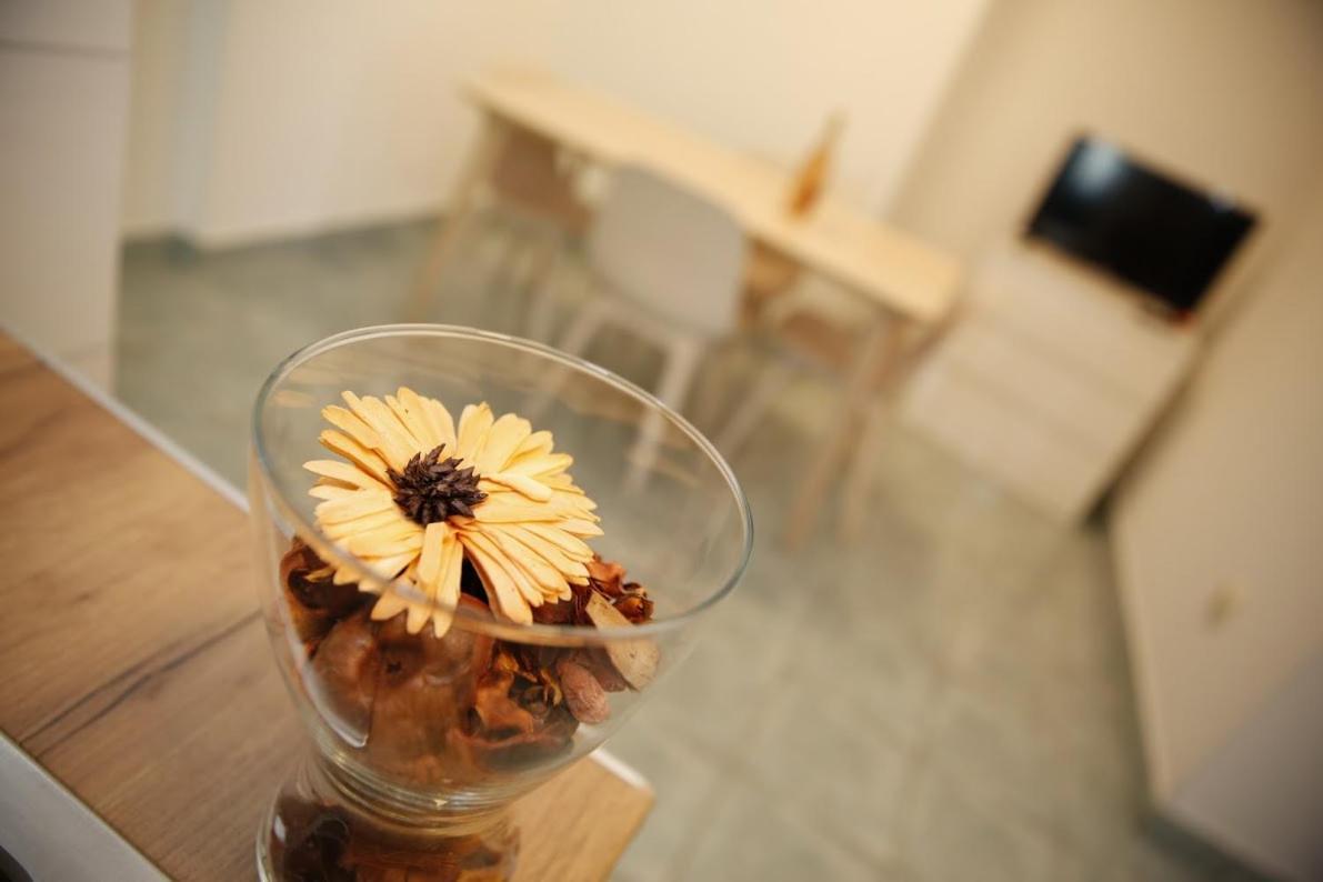 Apartamento Taradzic
